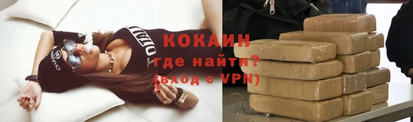 гашик Михайлов