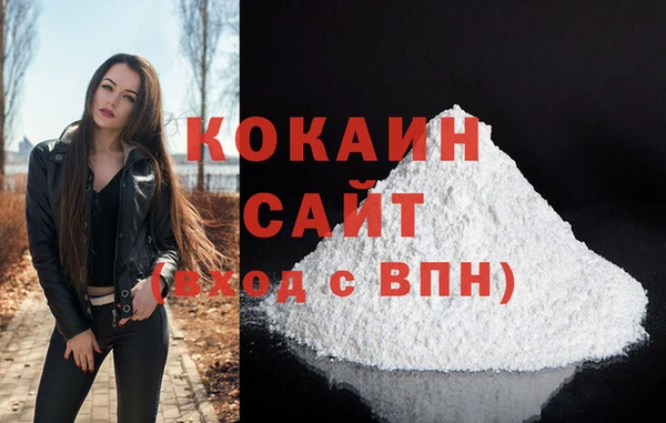 гашик Михайлов