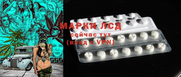 гашик Михайлов