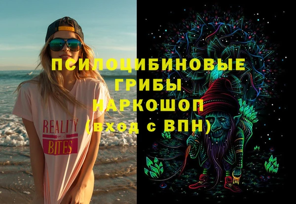гашик Михайлов