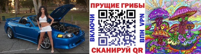 Галлюциногенные грибы GOLDEN TEACHER  сколько стоит  Шилка 